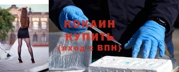 гашик Пересвет