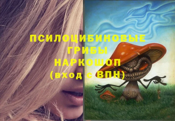 прущий лед Переславль-Залесский