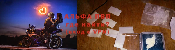 гашик Пересвет