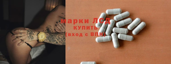 гашик Пересвет