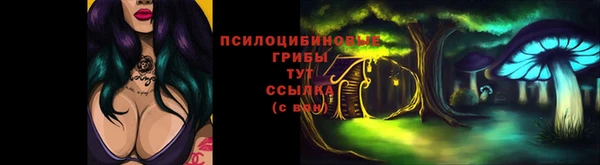 прущий лед Переславль-Залесский