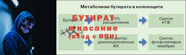 гашик Пересвет