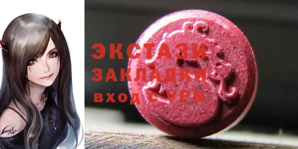 гашик Пересвет